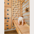 Bild in Galerie-Betrachter laden, Indoor-Klettergerüst aus Holz für Kinder mit Hangelleiter, Schaukel, Turnringen und Massage-Rollenrutsche