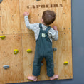 Bild in Galerie-Betrachter laden, Montessori Kletterwand für Kinder mit Griffen – Kletterwand aus Birkenholz, mit Leinöl & Bienenwachs veredelt