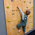 Bild in Galerie-Betrachter laden, Montessori Kletterwand für Kinder mit Griffen – Kletterwand aus Birkenholz, mit Leinöl & Bienenwachs veredelt