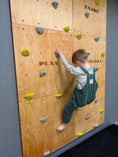 Bild in Galerie-Betrachter laden, Montessori Kletterwand für Kinder mit Griffen – Kletterwand aus Birkenholz, mit Leinöl & Bienenwachs veredelt