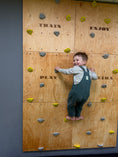 Bild in Galerie-Betrachter laden, Montessori Kletterwand für Kinder mit Griffen – Kletterwand aus Birkenholz, mit Leinöl & Bienenwachs veredelt