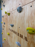 Bild in Galerie-Betrachter laden, Montessori Kletterwand für Kinder mit Griffen – Kletterwand aus Birkenholz, mit Leinöl & Bienenwachs veredelt