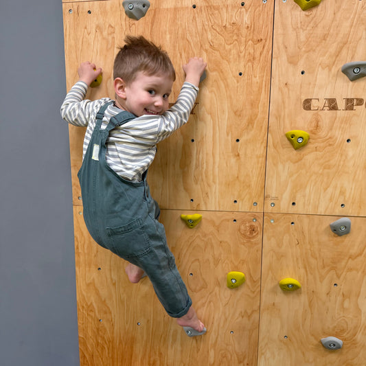 Montessori Climbing Wall for Kids with Holds – Wooden Climbing Wall from Birch Plywood, Finished with Linseed Oil & Beeswax