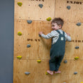 Bild in Galerie-Betrachter laden, Montessori Kletterwand für Kinder mit Griffen – Kletterwand aus Birkenholz, mit Leinöl & Bienenwachs veredelt
