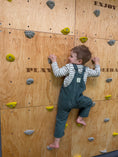 Bild in Galerie-Betrachter laden, Montessori Kletterwand für Kinder mit Griffen – Kletterwand aus Birkenholz, mit Leinöl & Bienenwachs veredelt
