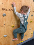 Bild in Galerie-Betrachter laden, Montessori Kletterwand für Kinder mit Griffen – Kletterwand aus Birkenholz, mit Leinöl & Bienenwachs veredelt
